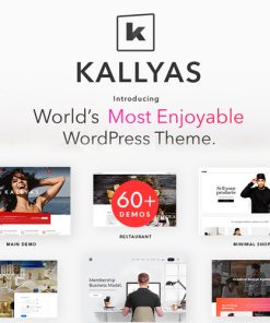 KALLYAS - Creative eCommerce Multi-Purpose WordPress Theme