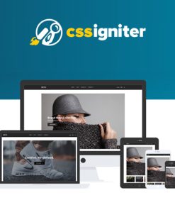CSS Igniter Neto WooCommerceTheme