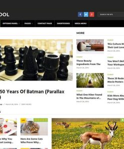 MyThemeShop Cool WordPress Theme