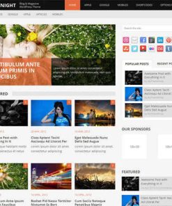 MyThemeShop Daynight WordPress Theme