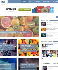 MyThemeShop Flick WordPress Theme