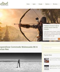 MyThemeShop Instinct WordPress Theme