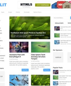 MyThemeShop Split WordPress Theme