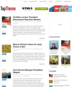 MyThemeShop Top WordPress Theme