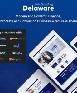 Delaware - Consulting and Finance WordPress Theme