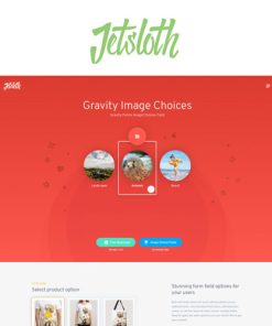 Jetsloth - Gravity Forms Image Choices