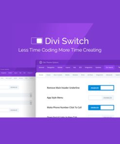 divi-switch